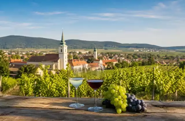 In Pezinok