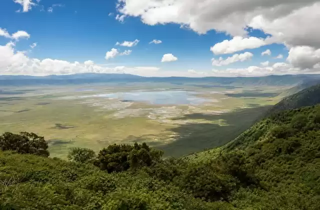 In Ngorongoro