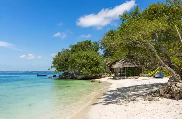 On Bongoyo Island