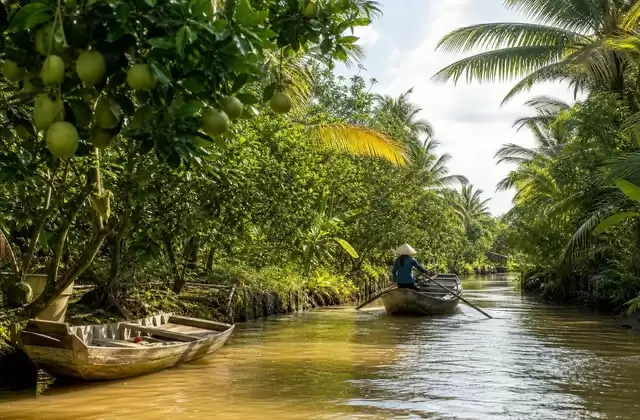 In the Mekong Delta