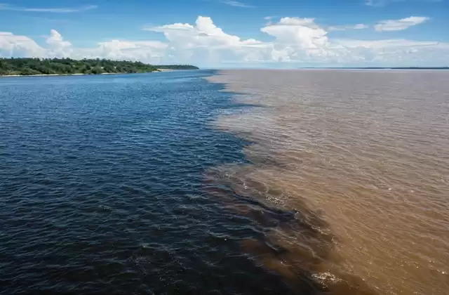 Meeting of the Waters in Manaus