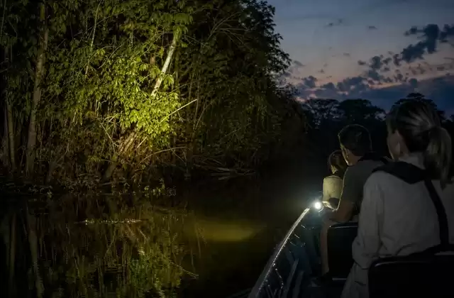 Nighttime river excursion