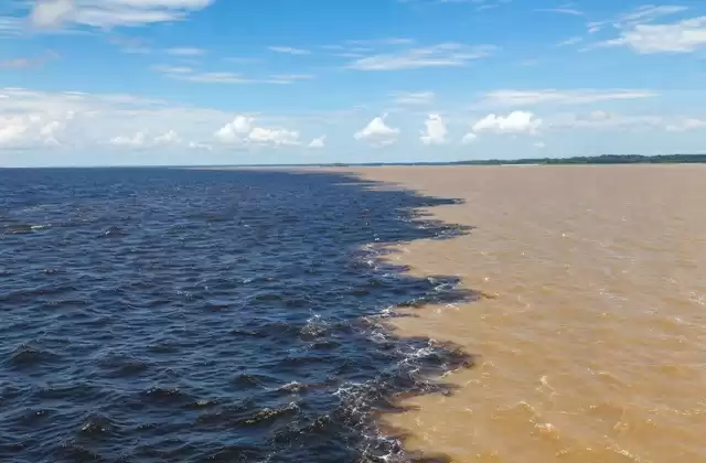 Manaus