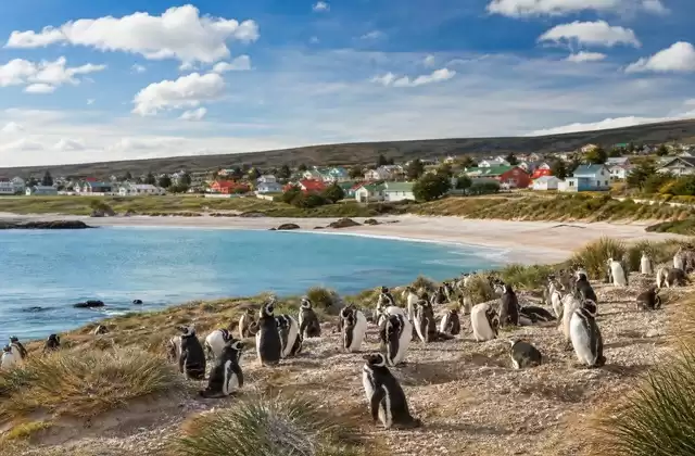 Falkland Islands