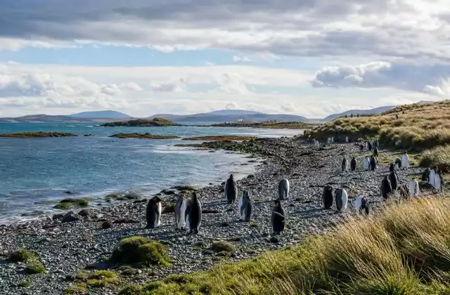 Falkland Islands