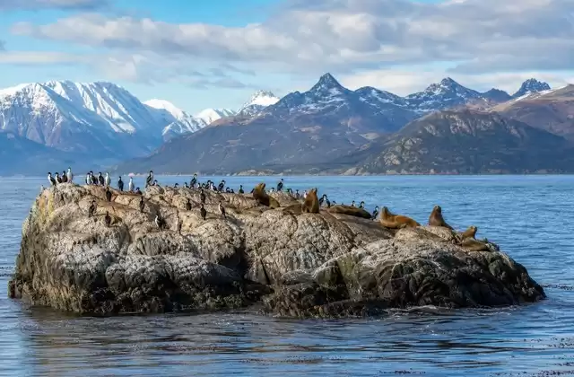 Beagle Channel