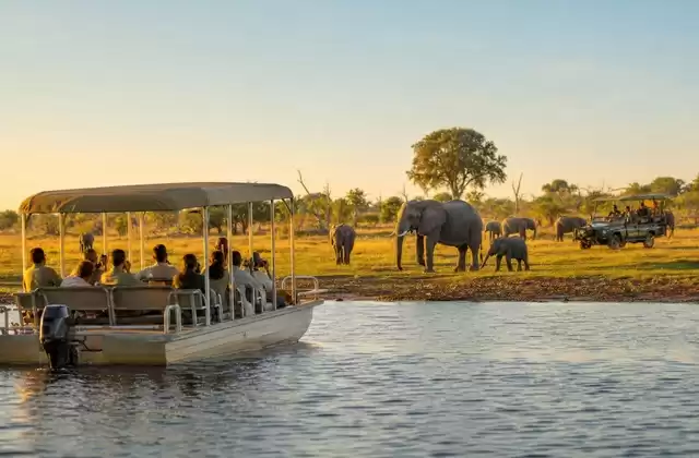 Chobe National Park