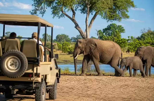 Chobe National Park