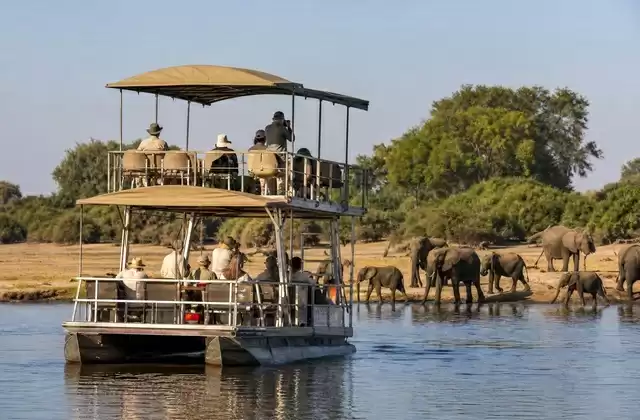 Chobe River