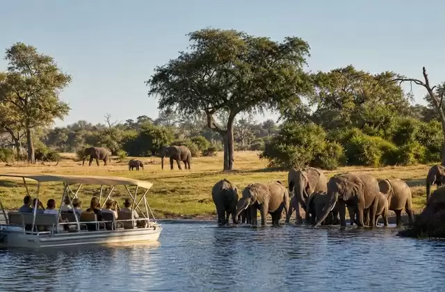 Chobe National Park