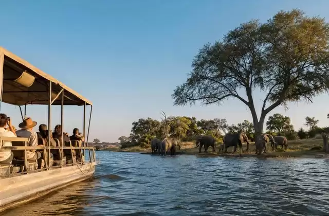 Chobe River