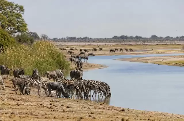 Boteti River