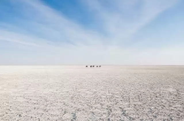 Makgadikgadi Pans