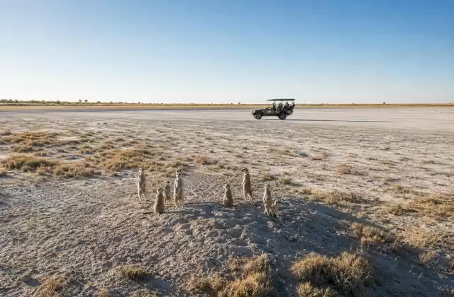 Makgadikgadi Pans