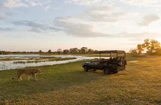Moremi Game Reserve