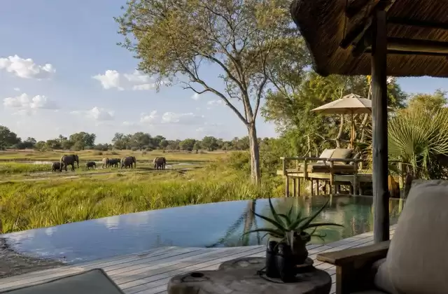 Moremi Game Reserve