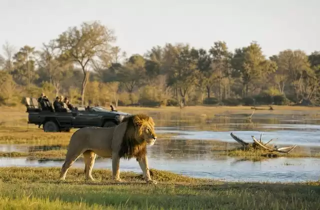 Moremi Game Reserve
