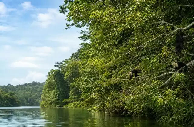 Lake Gatún