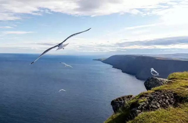 North Cape