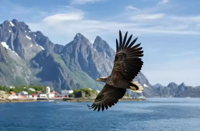 Svolvær