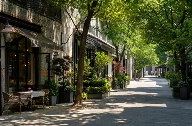 French Concession