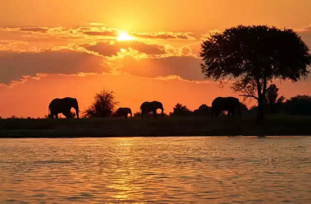 Sunset on the river