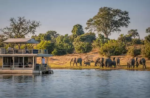Cruising near Chobe National Park
