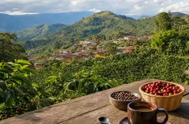 Coffee region