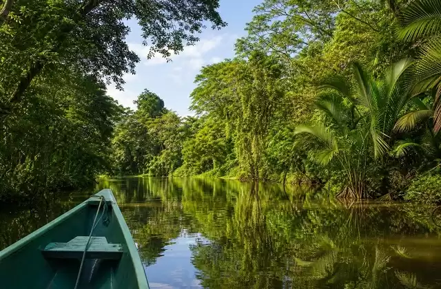 Tortuguero canals