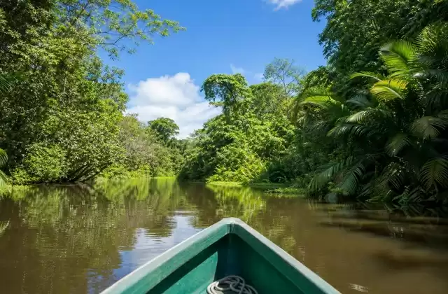 Tortuguero canals