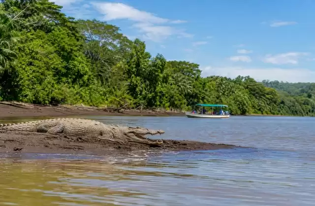 Tárcoles River