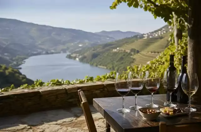 A tasting at a quinta
