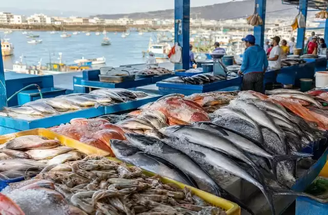 Manta fish market