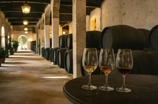 Jerez and the bodegas