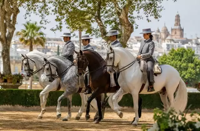 Andalusian equestrian show