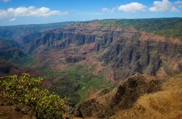Waimea Canyon