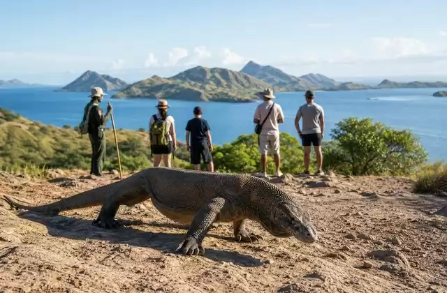 Komodo National Park