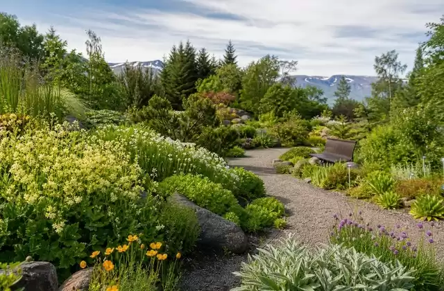Akureyri Botanical Garden
