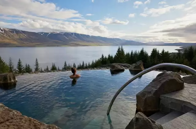 Forest Lagoon with views of the fjord