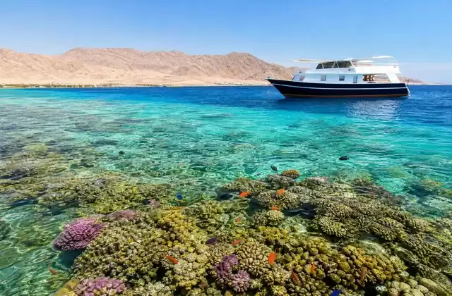 Japanese Reef