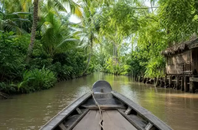 Cruising through the Mekong Delta