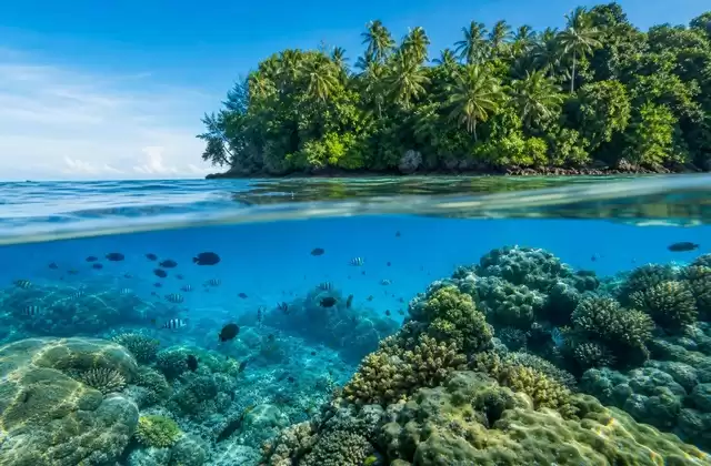 Kosrae reefs