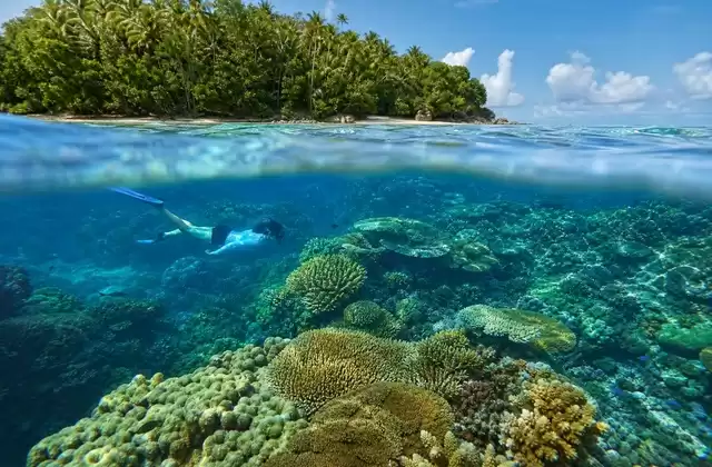 Kosrae reefs