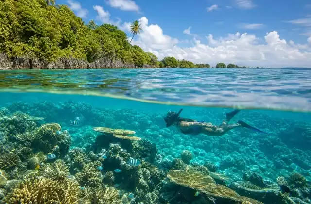 Kosrae reefs