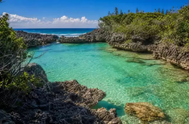 Oro Natural Pool