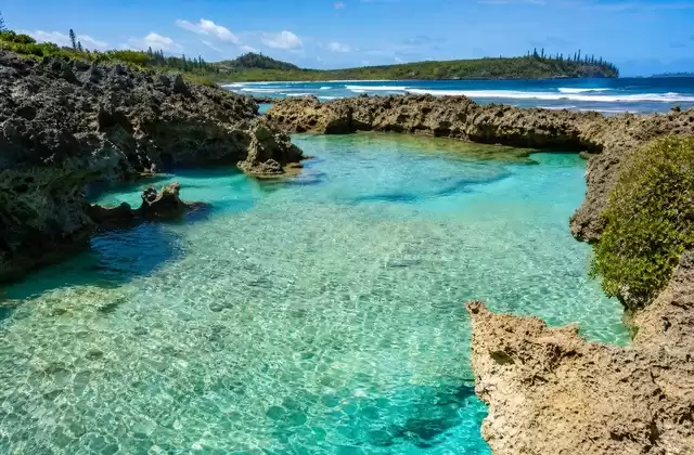 Oro Natural Pool