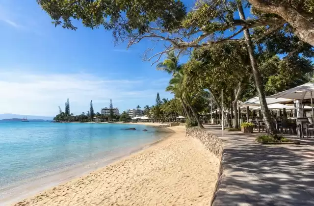 Lemon Bay