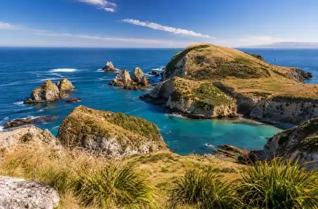 Dunedin
