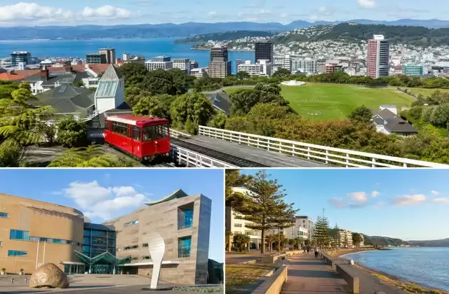Wellington