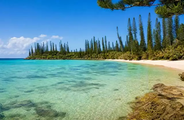 Isle of Pines
